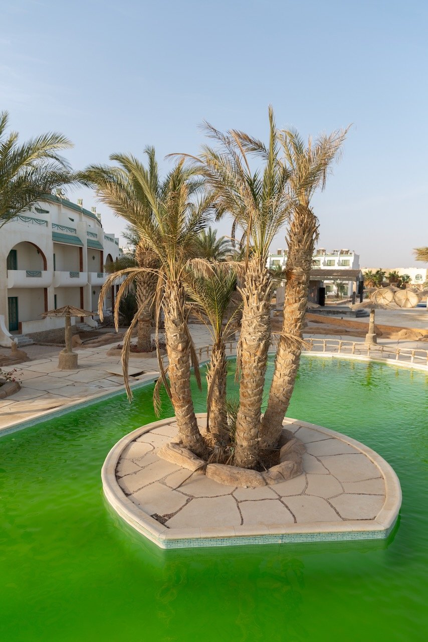 hurgahda - 9 of 14.jpeg