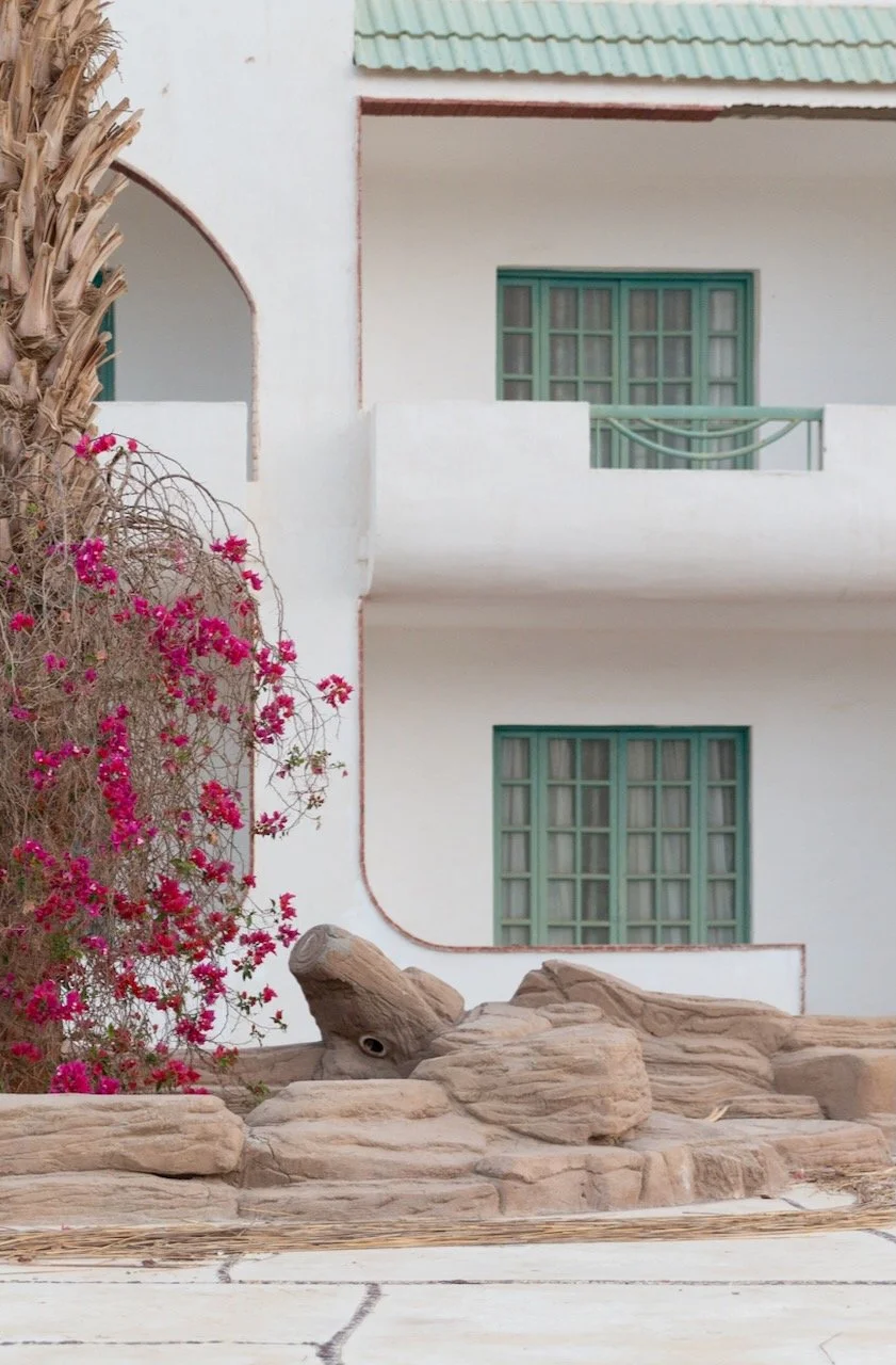 hurgahda - 11 of 14.jpeg