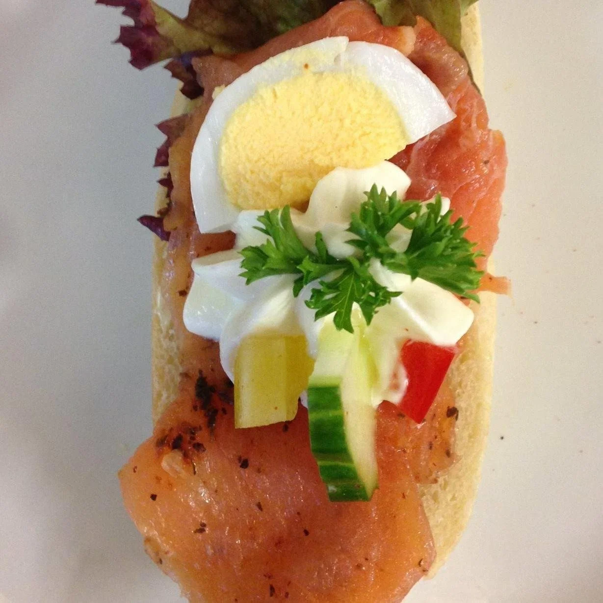 WhatsApp Image 2025-10-13 at 12.36.29.jpeg