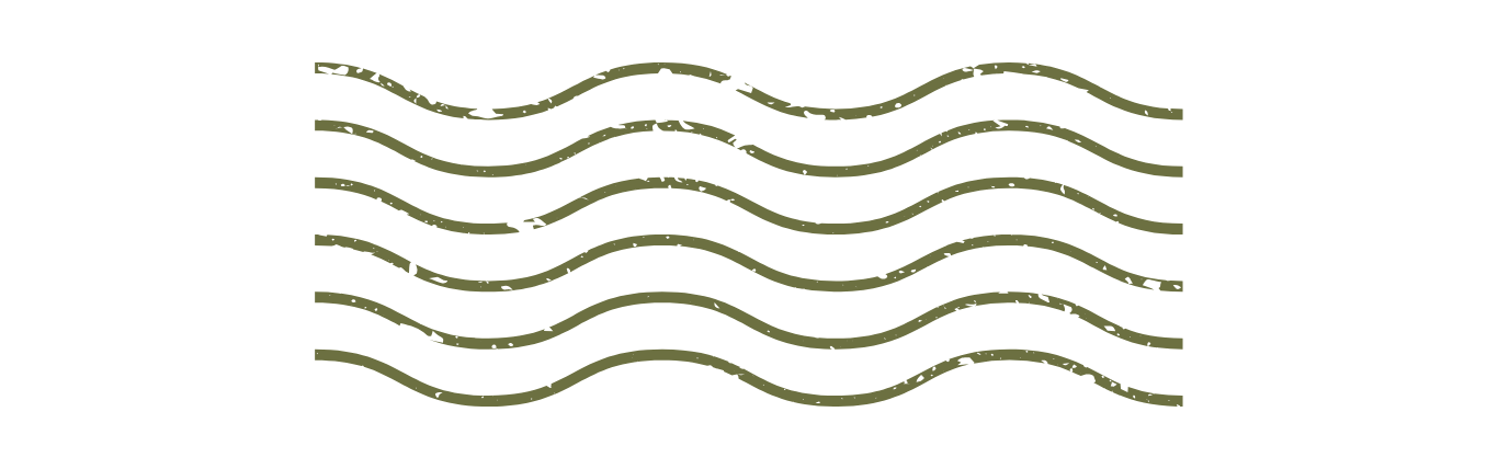 Green postcard stamp with wavy line design.
