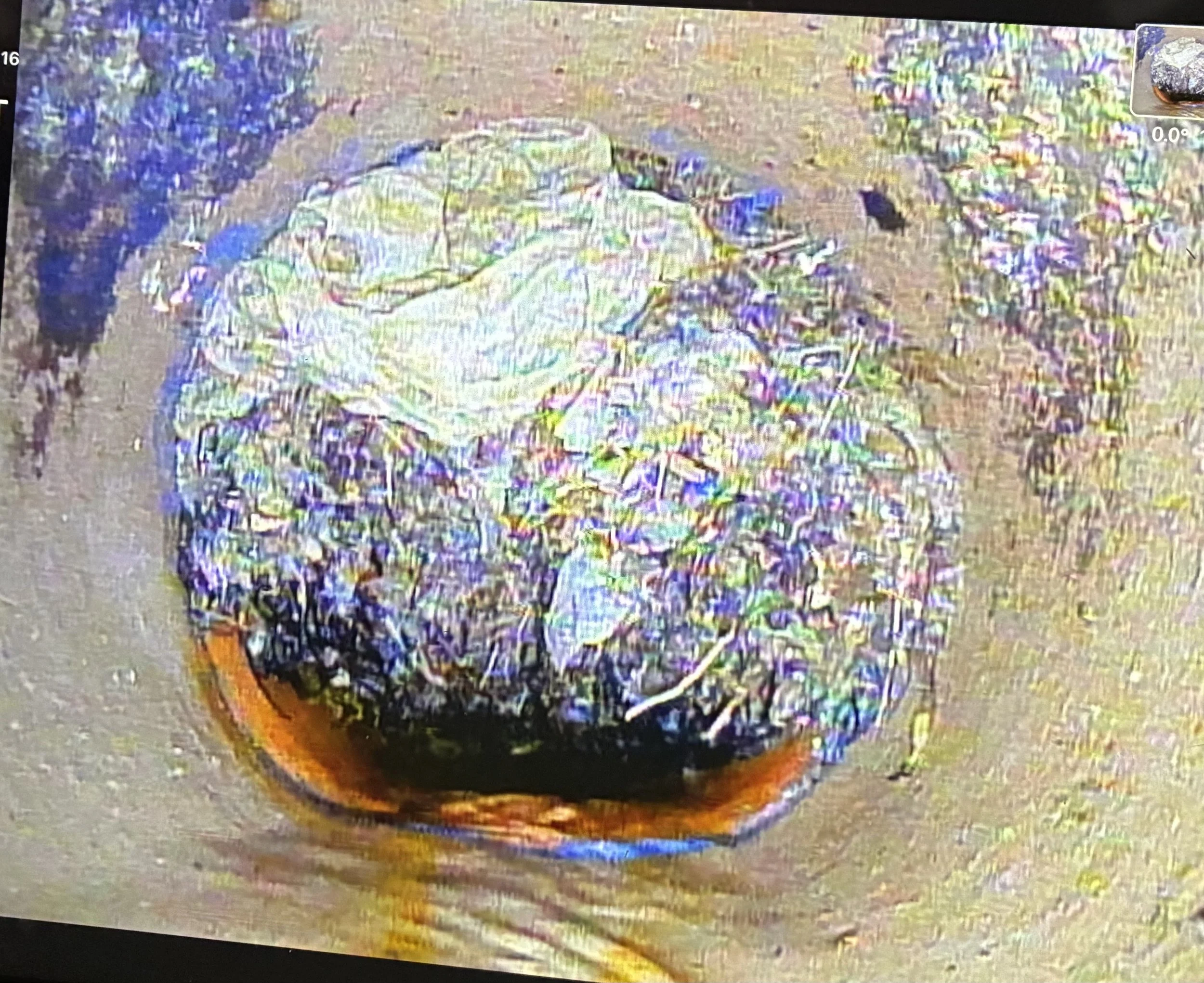 sewer cleaning