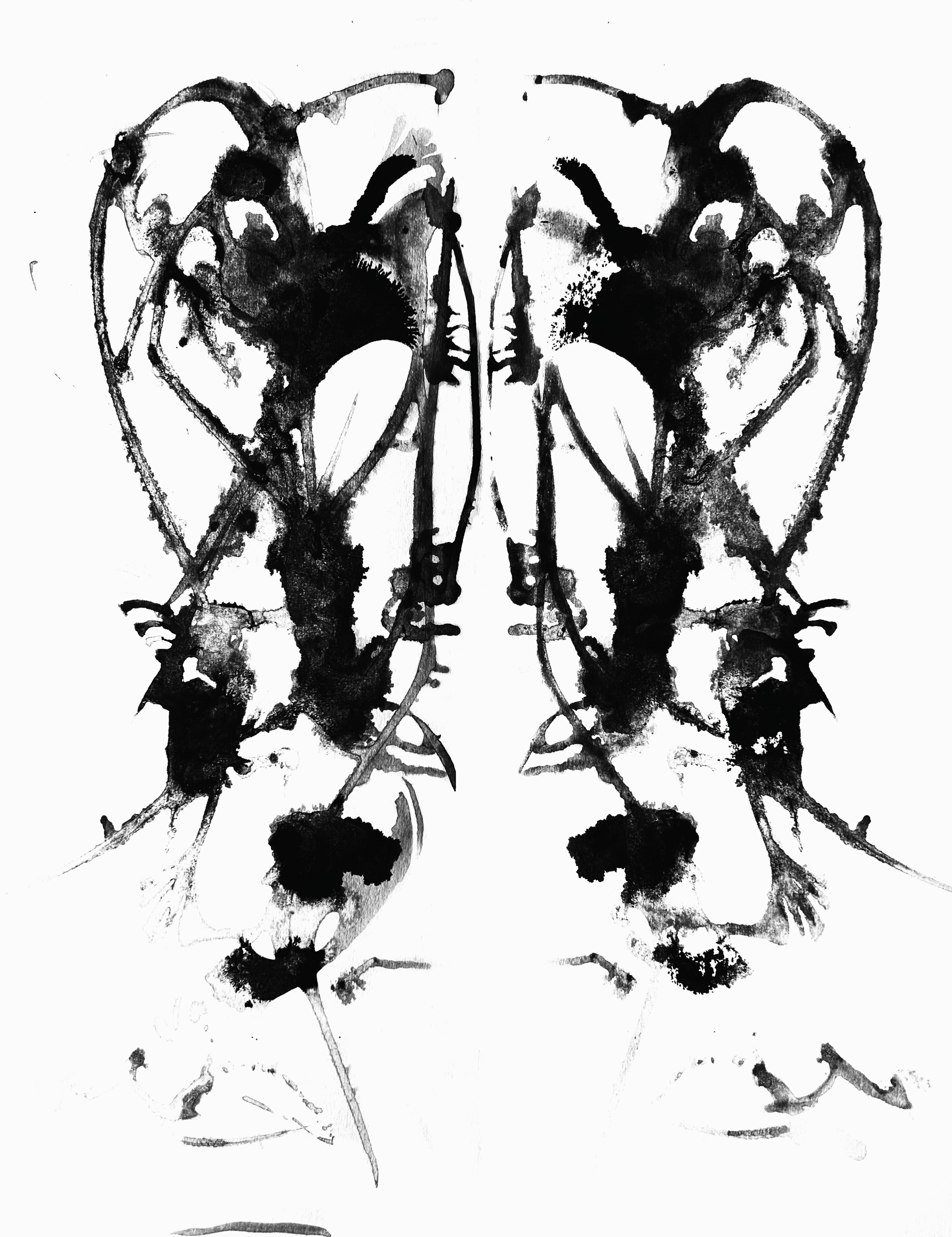 inkblot2.pdf.png