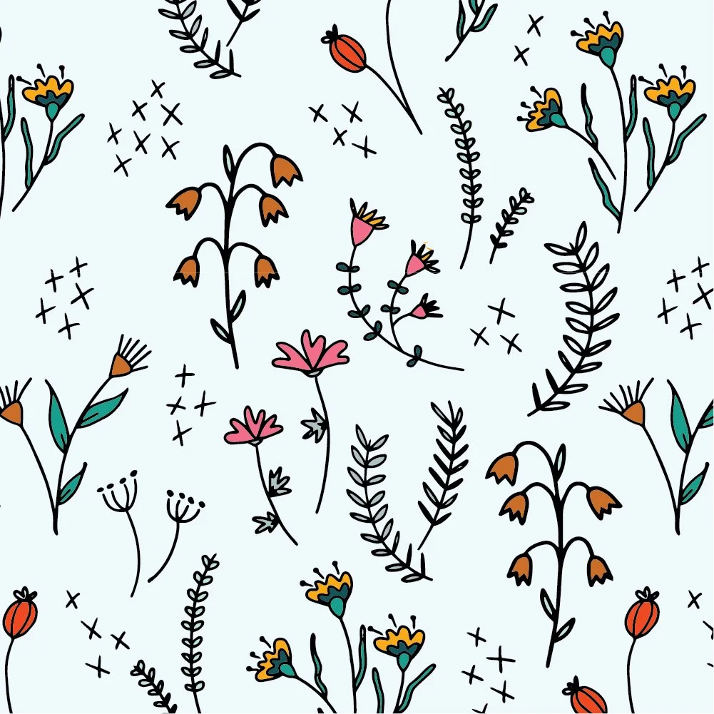 colorful wildflower.jpg