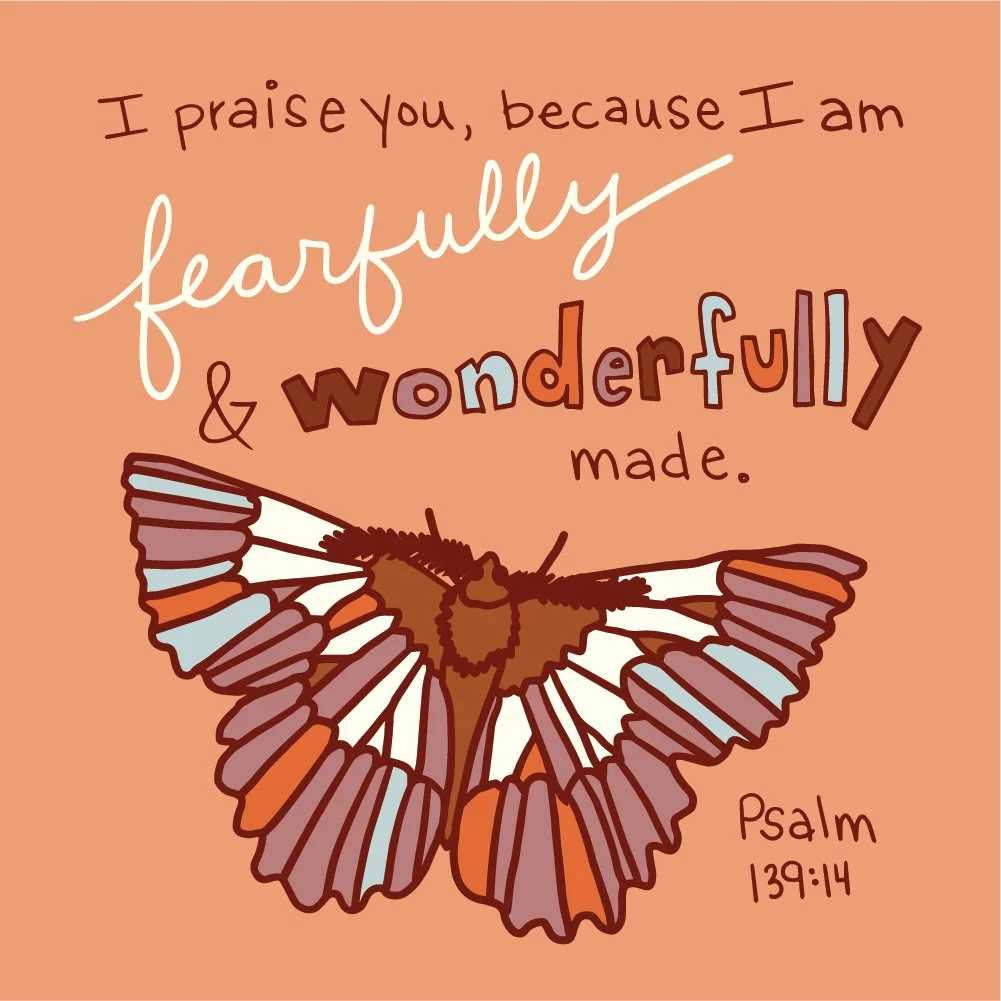 final butterfly_1.jpg