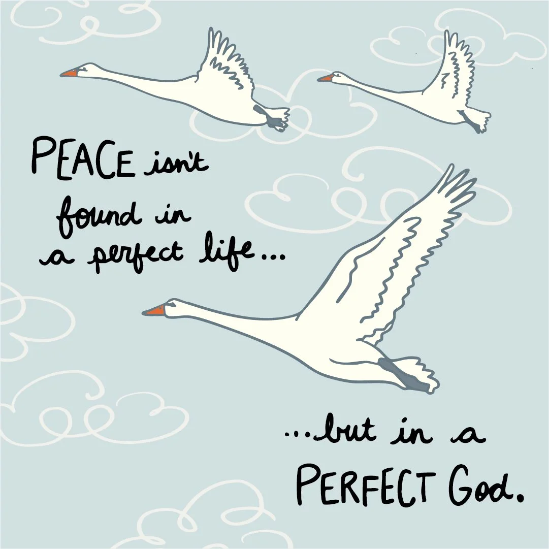PEACE swan_1.jpg