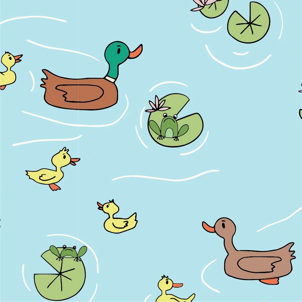 ducks for website.jpg