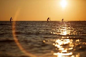 Lisbon Surfing Lesson