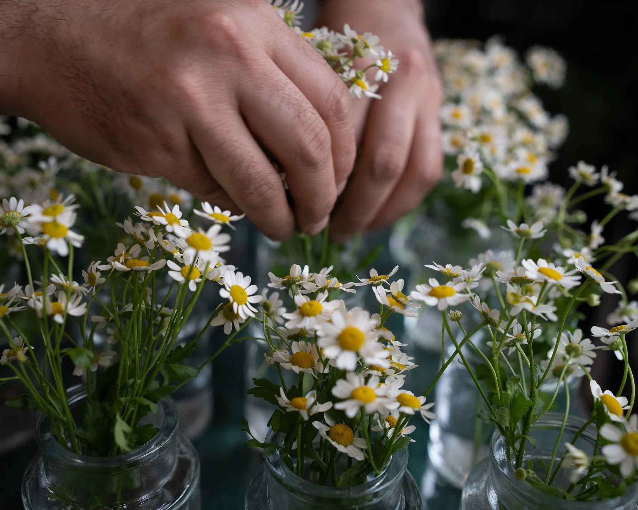 Blumen in Gläsern als Tischdecke für Events
