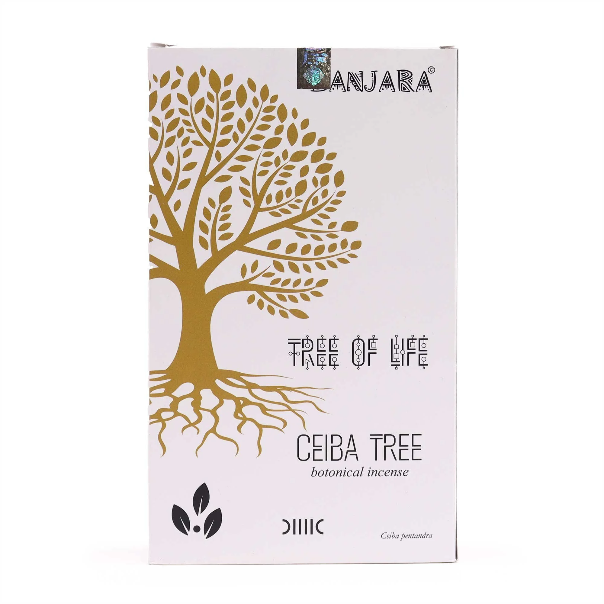 Ceiba%2BTree.jpeg