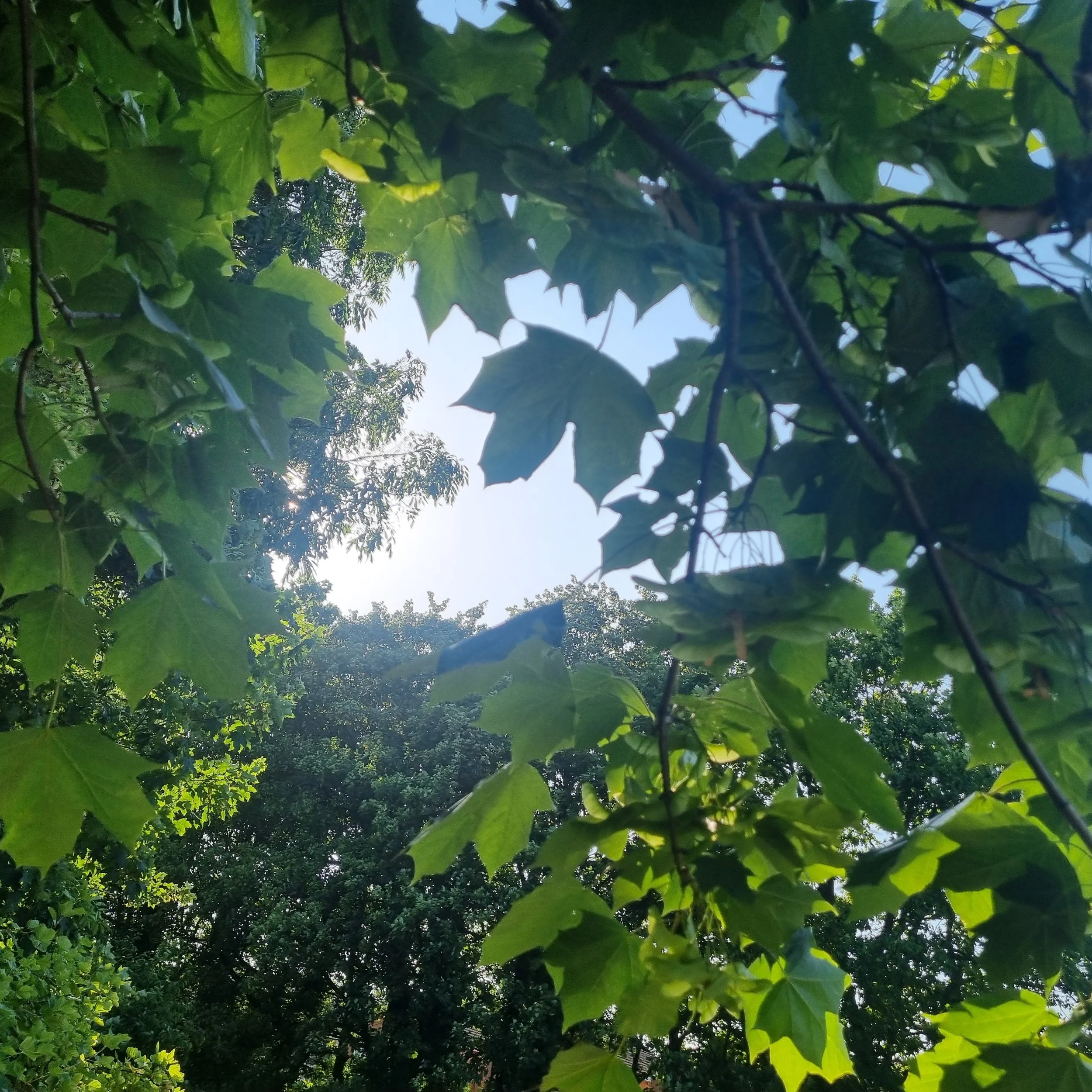 Summer Journalling