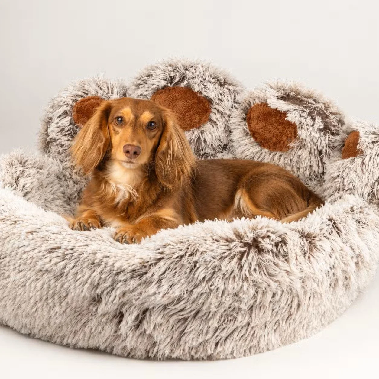 NEW:  Pet Beds - Cosy Comfort for Your Furry Friend - Big Paw Bed
