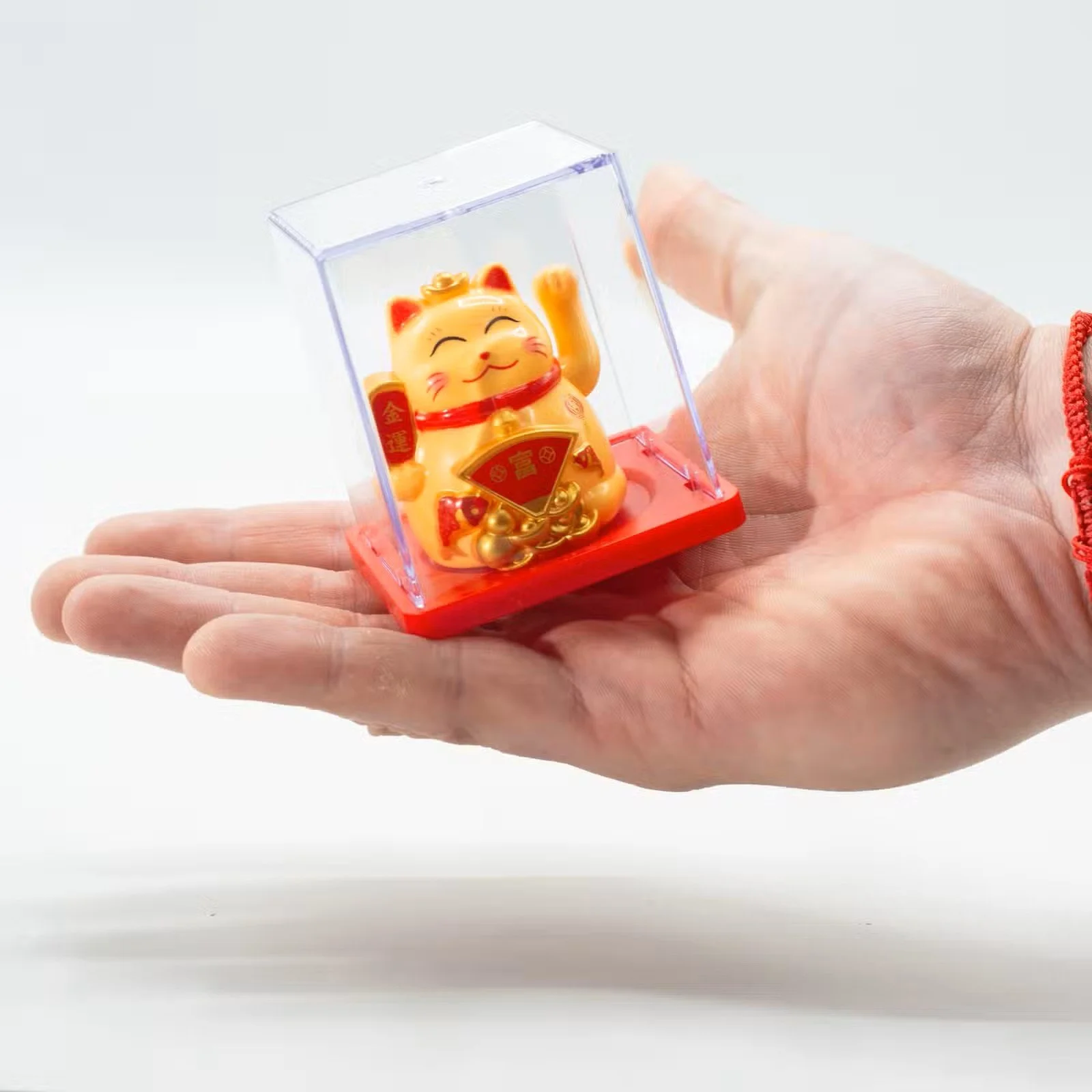General Image Waving Cat in box.jpg