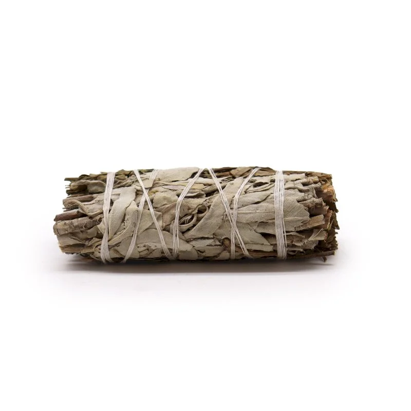 Smudge Stick - White Sage and Pirul Foliage Image 1.jpg