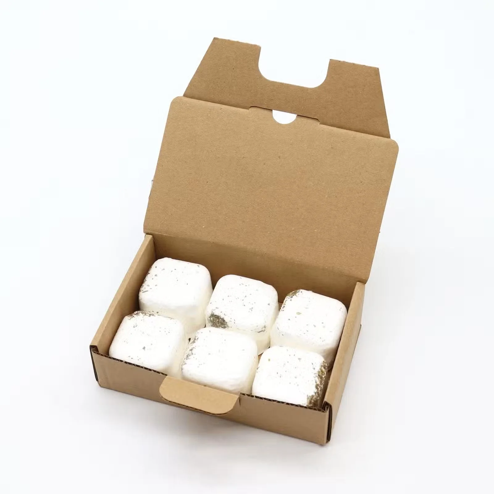 1x Set of 6 Aromatherapy Shower Steamers - Kick Start 1.jpg