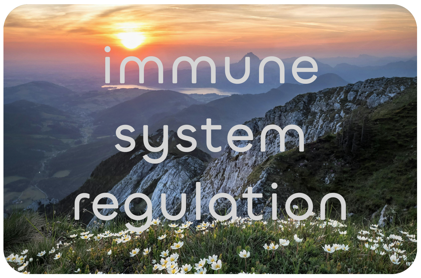 immune-regulation-hbot.png