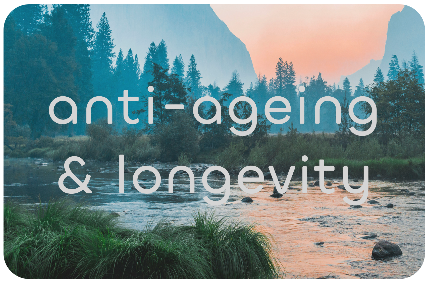 anti-ageing-and-longevity-hbot.png