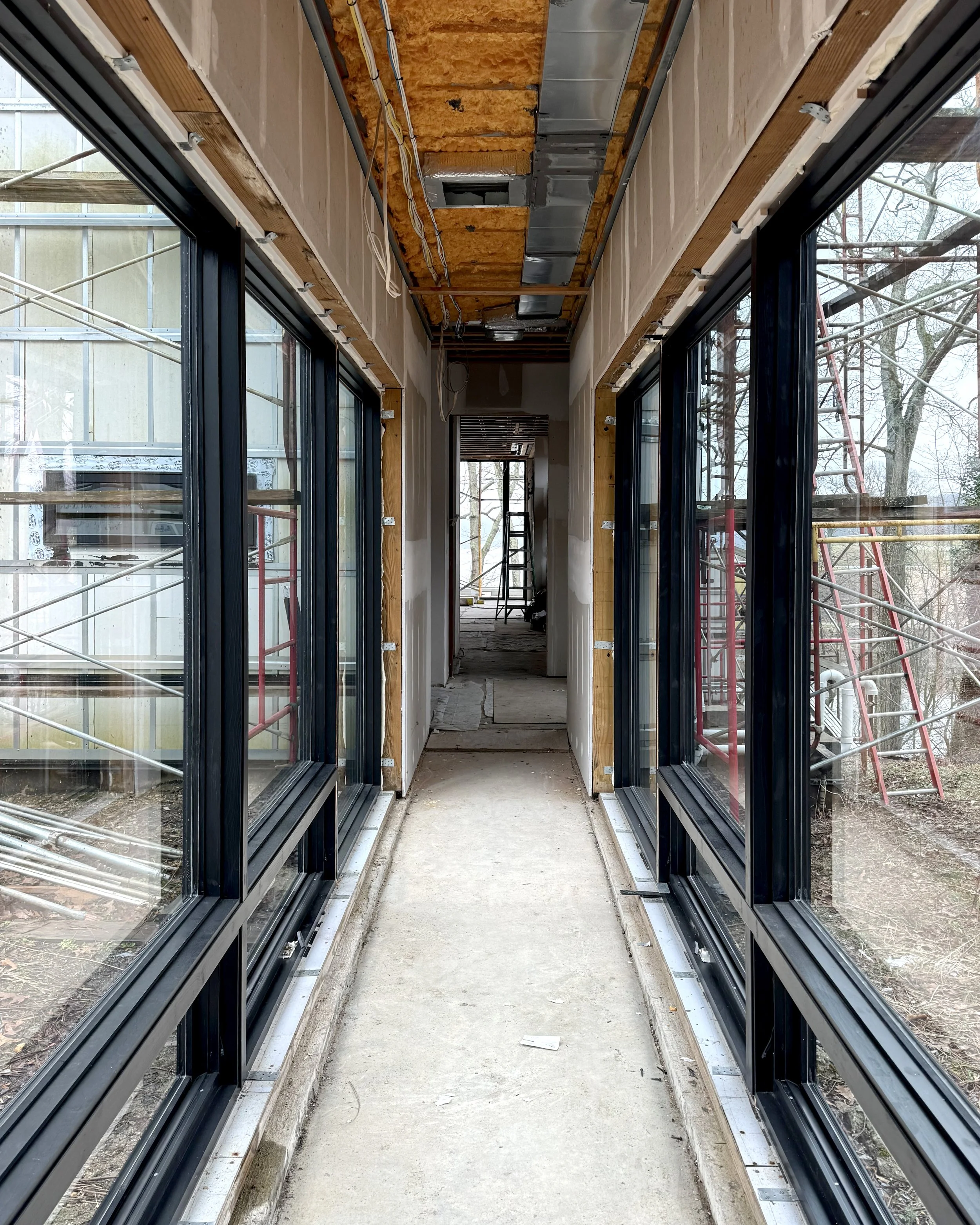 Leads you through - Nancy Wills.jpg