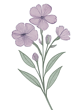 A watercolor illustration of a lavender-colored flowering plant with three open blossoms, a bud, green leaves, and a single stem.