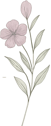 Line drawing of a flower with a large bloom and a smaller bud, along with elongated leaves, in pastel shades.