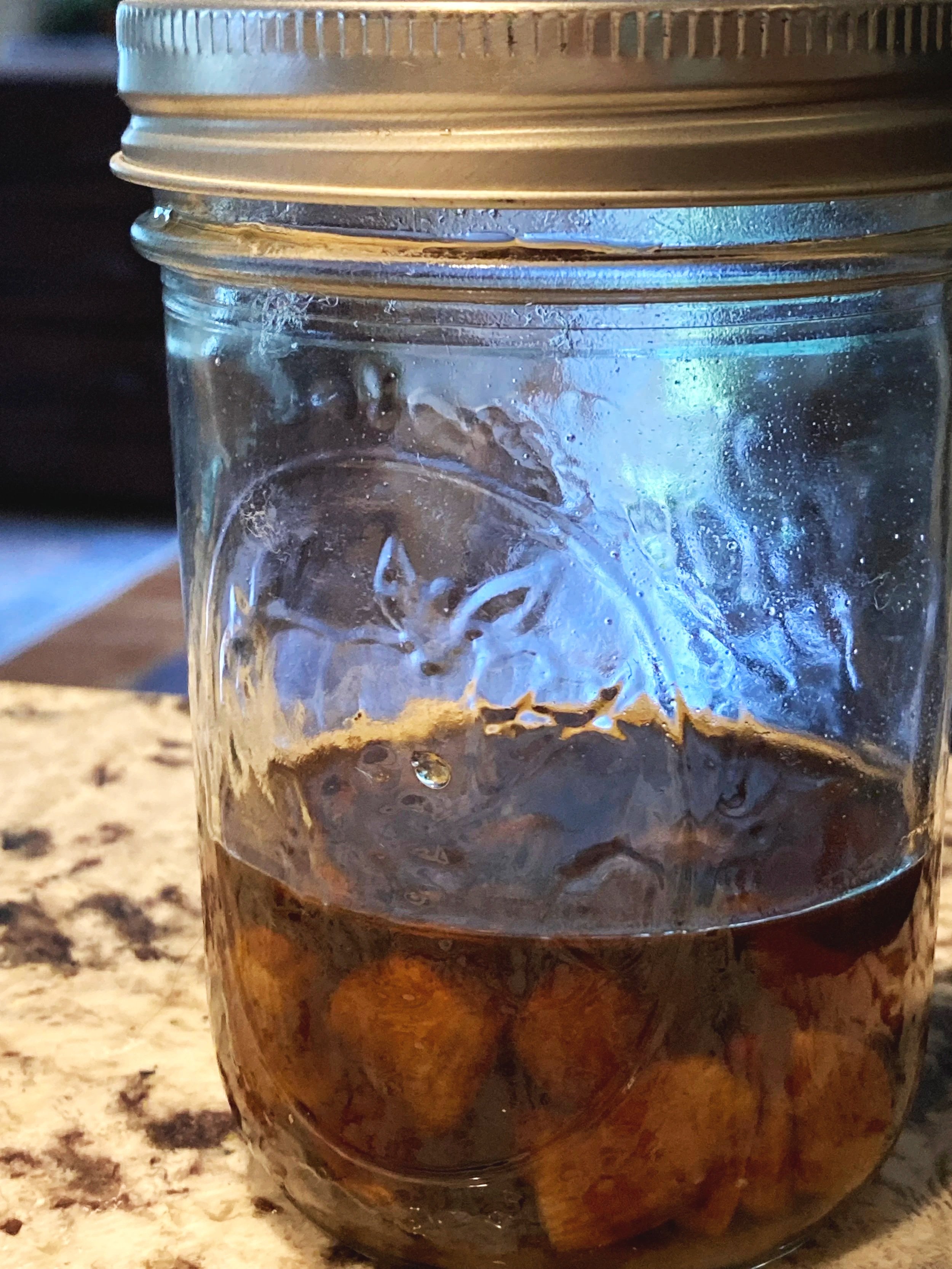 Honey Fermented Garlic 