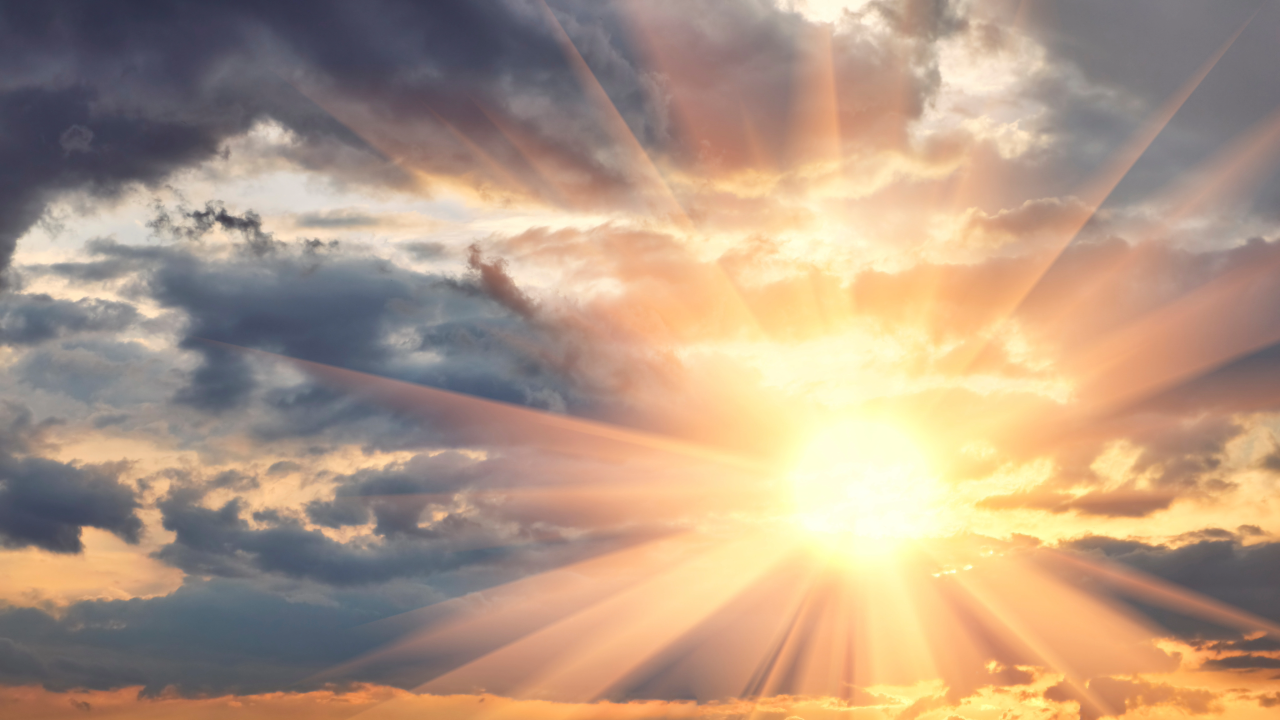 A Tribute to Two Lives that Shaped Our Community: Lisa Middleton and Tom Willis