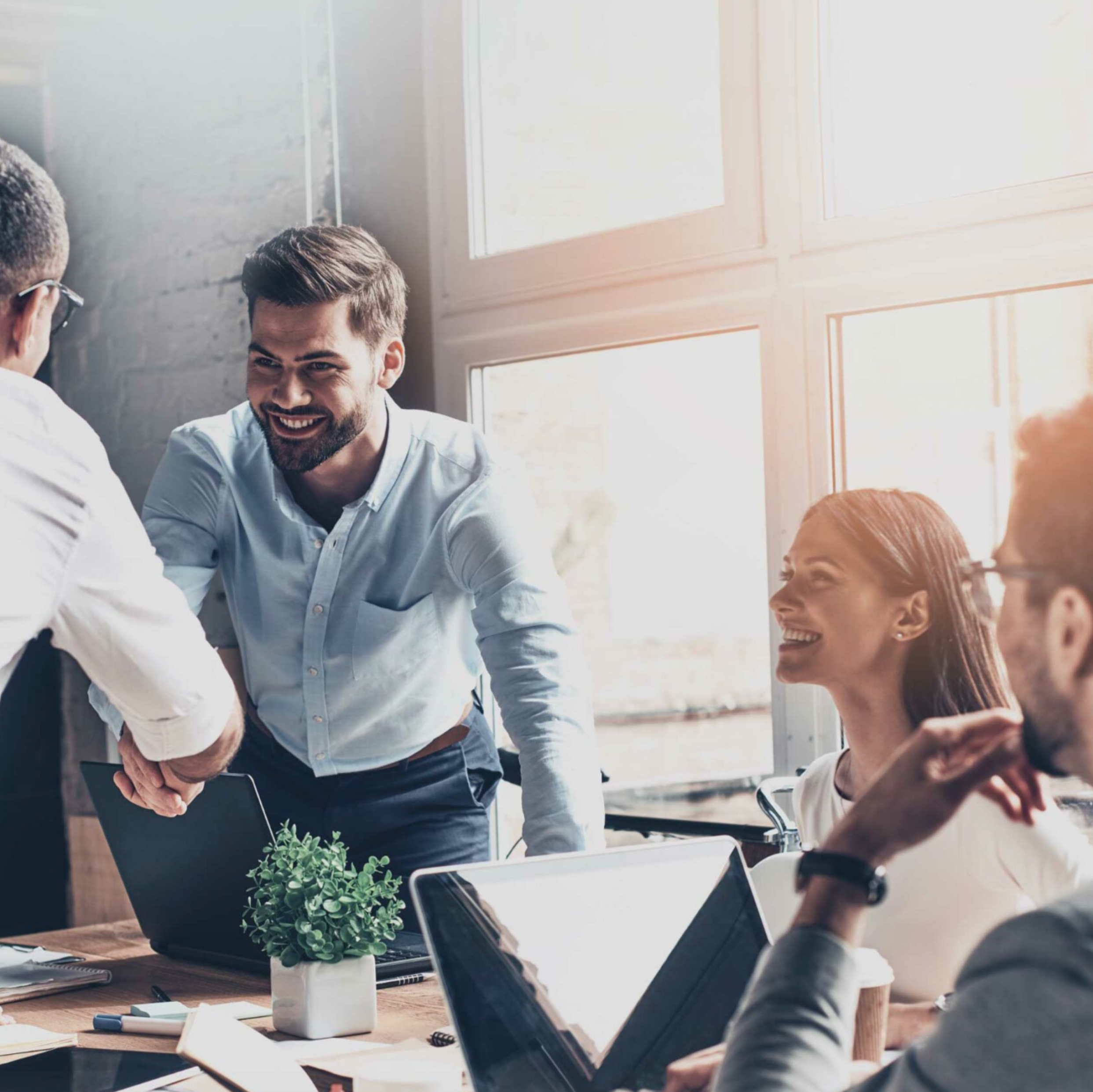 Une réunion d'affaires où un homme en chemise claire serre la main d'un autre homme. Les trois autres personnes à la table discutent et sourient, avec des ordinateurs portables et une plante verte sur la table. La pièce est bien éclairée par de grandes fenêtres.