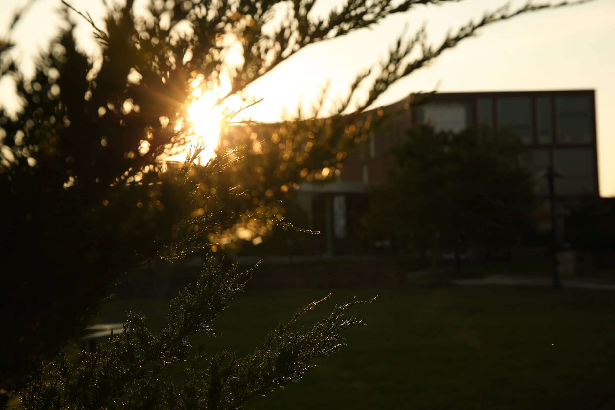 Jankowski_Time Of Day_-9.jpg