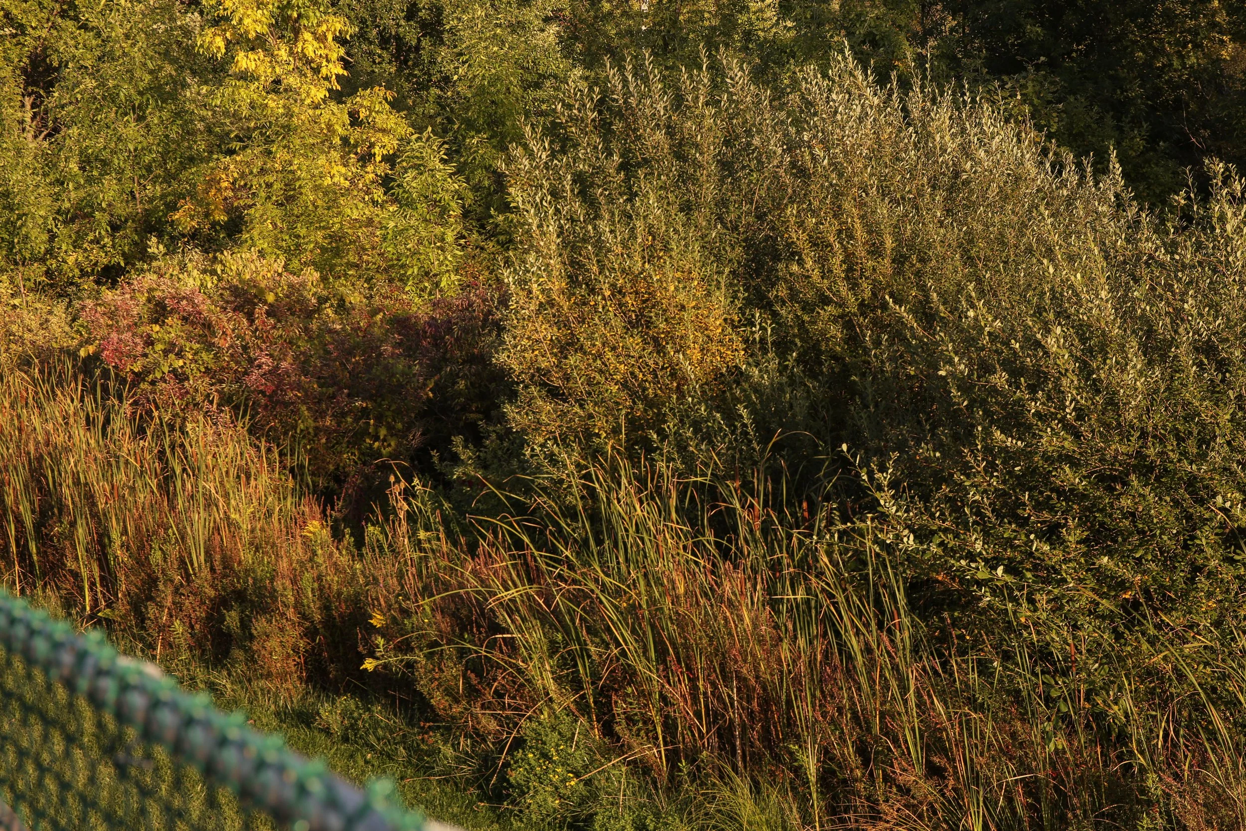 Jankowski_Time Of Day_-3.jpg