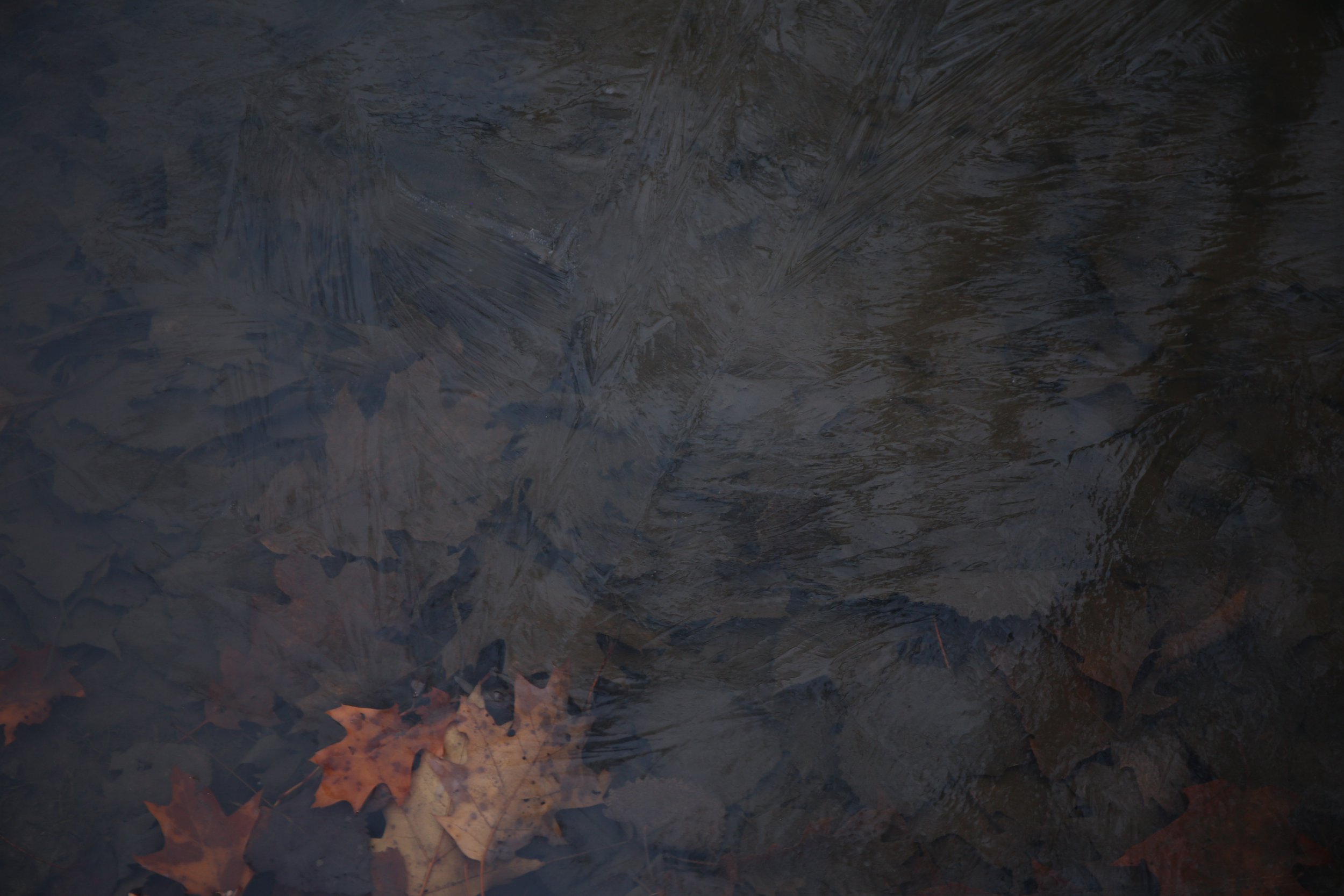 final project images(?)-6.jpg