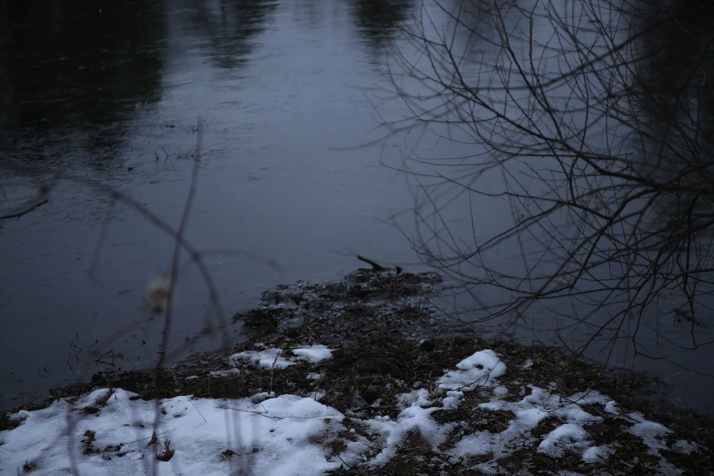 final project images(?)-5.jpg