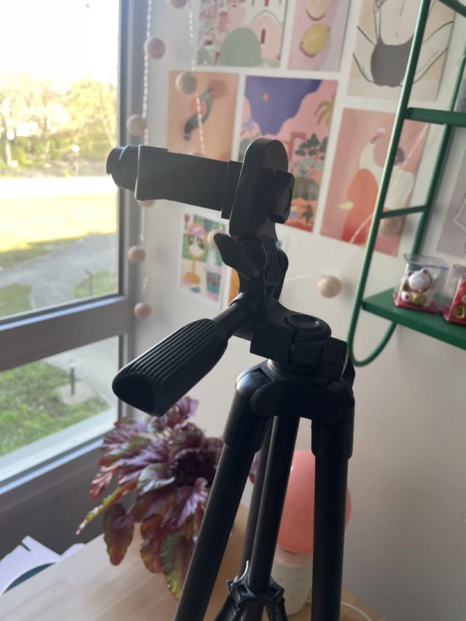 IMG_4290 - Grande.jpeg