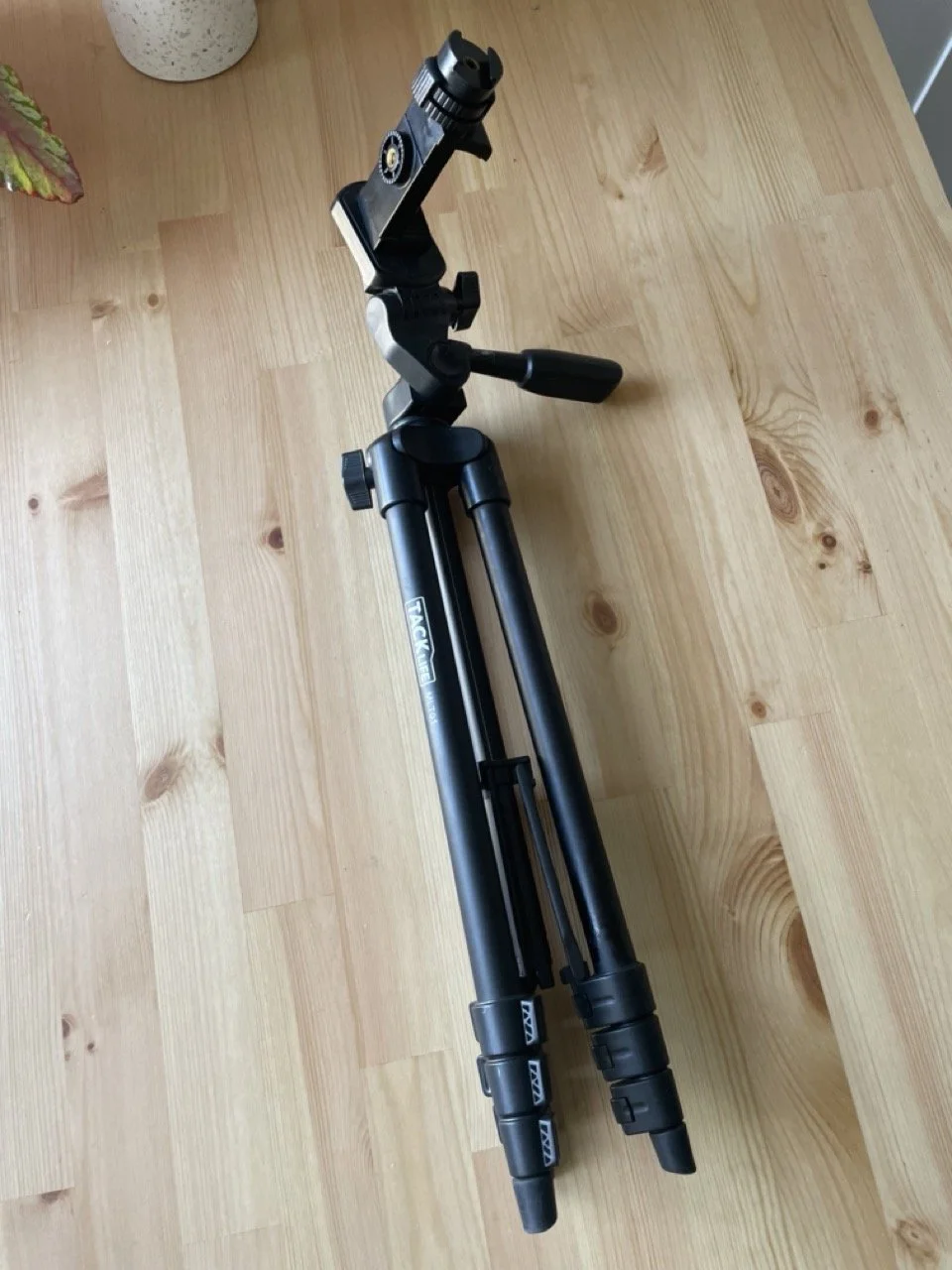 IMG_4294 - Grande.jpeg