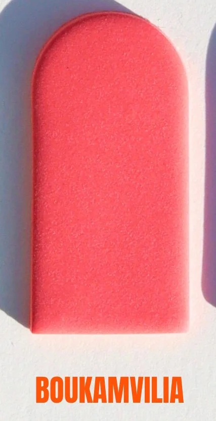 boukamvilia.jpg
