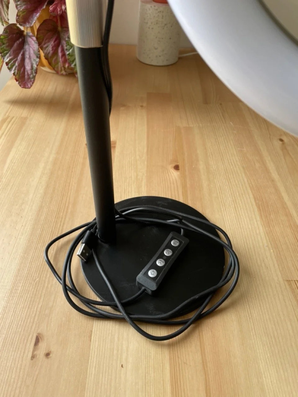 IMG_4579 - Grande.jpeg