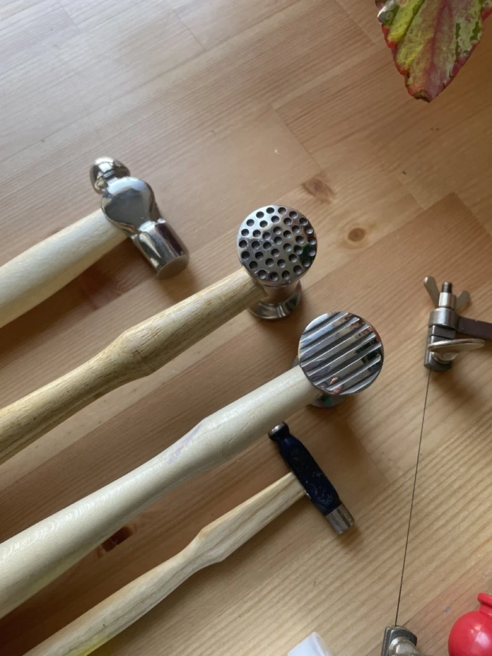 IMG_4413 - Grande.jpeg