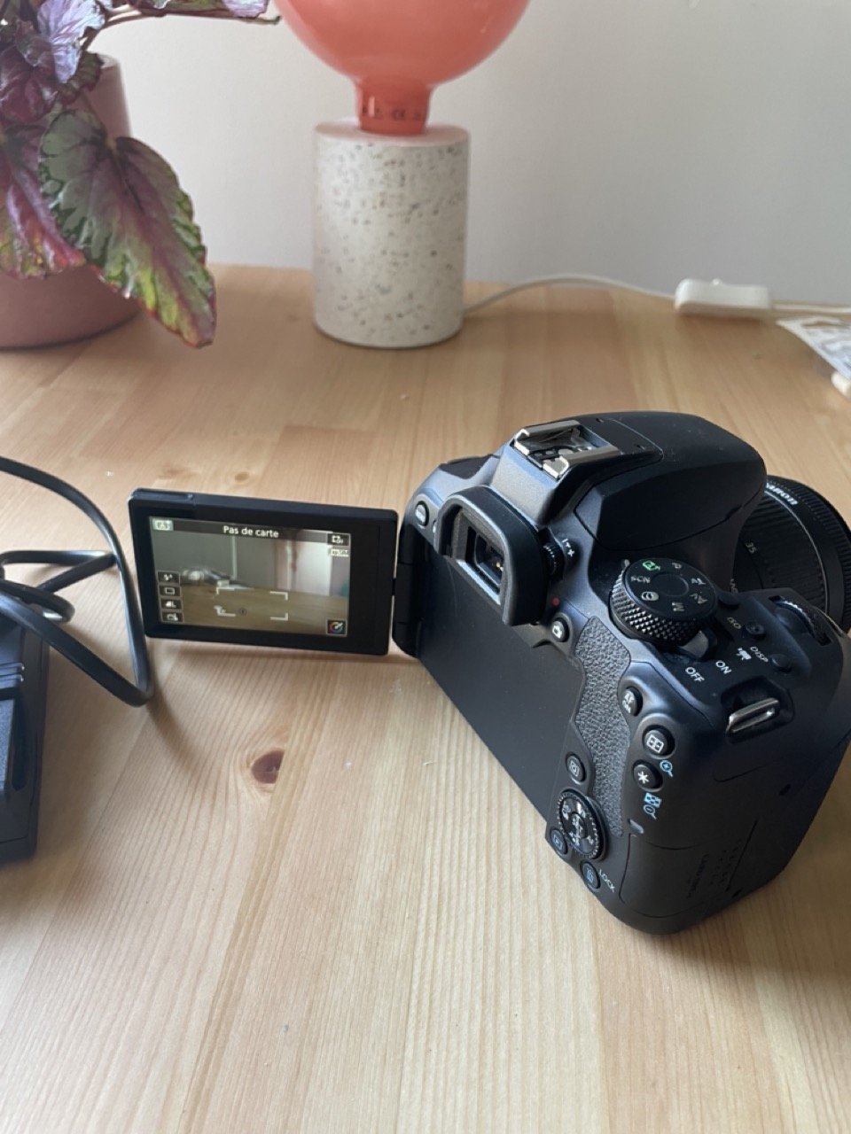 IMG_4426 - Grande.jpeg