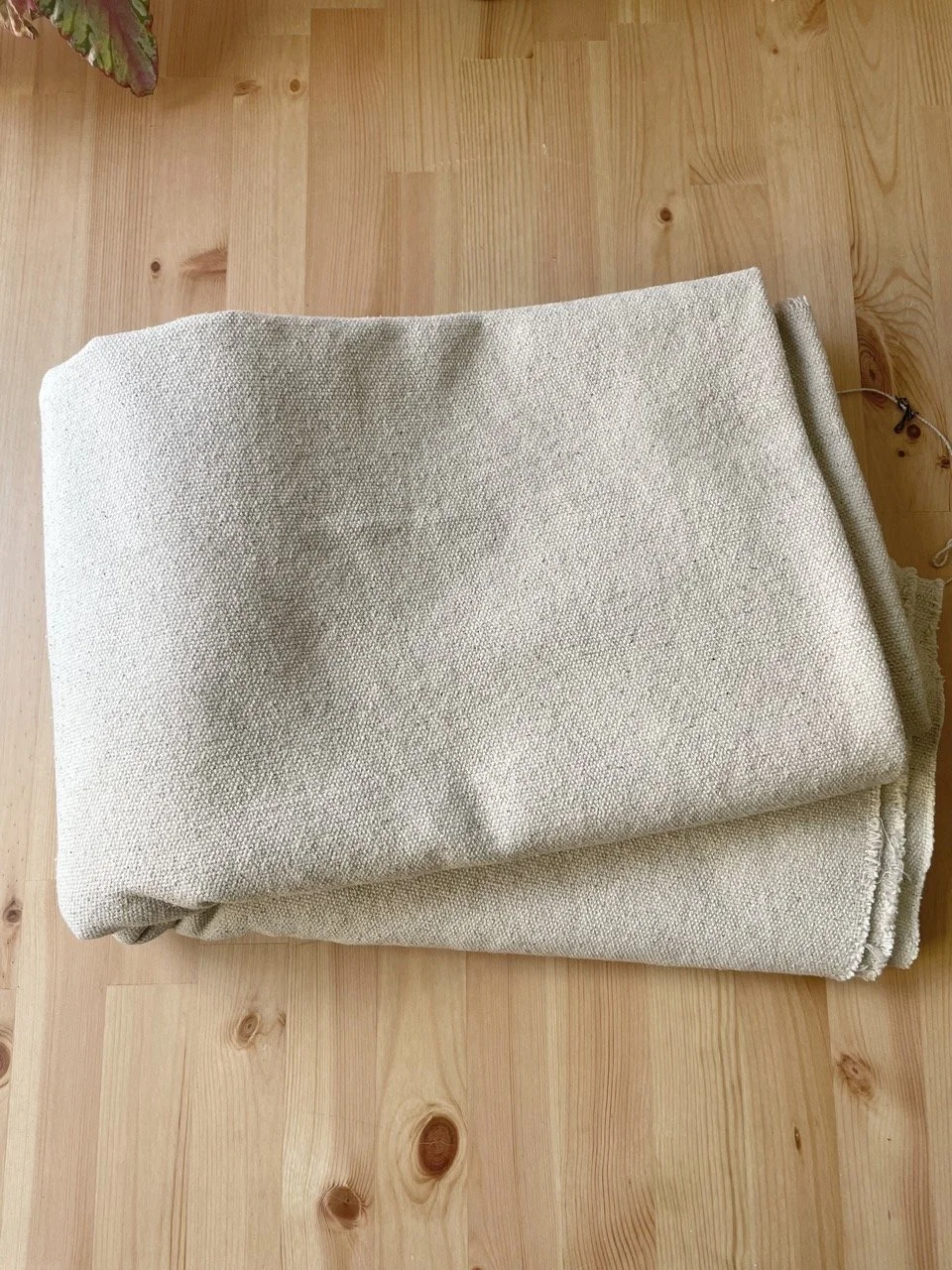 IMG_4697 - Grande.jpeg