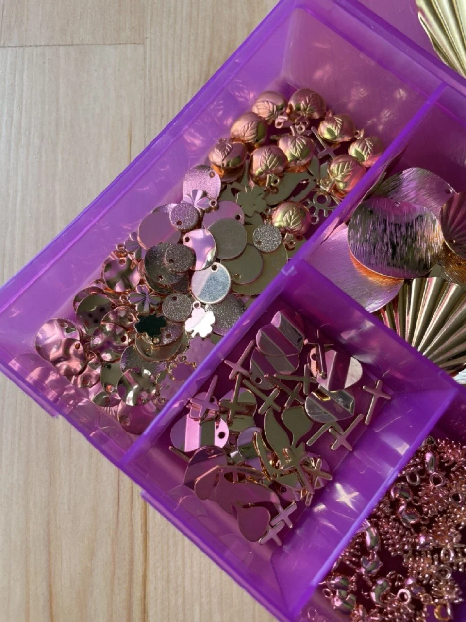 IMG_4616 - Grande.jpeg