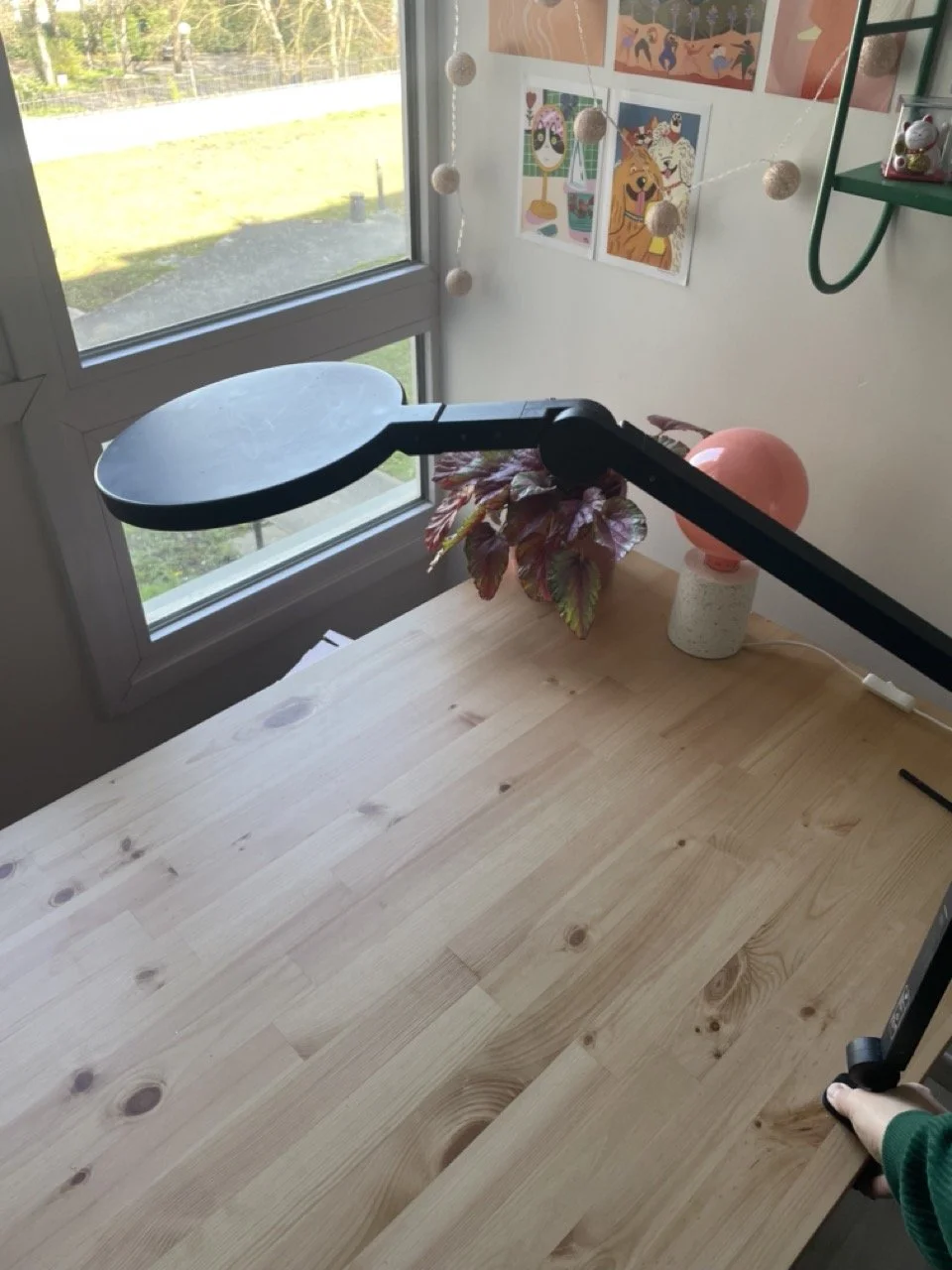 IMG_4287 - Grande.jpeg