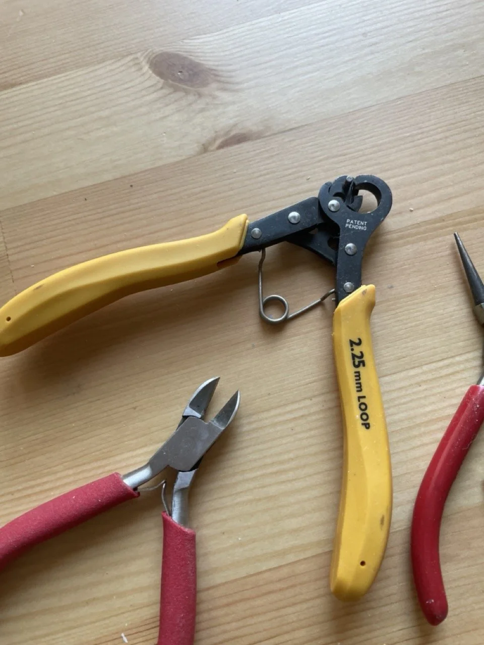 IMG_4309 - Grande.jpeg