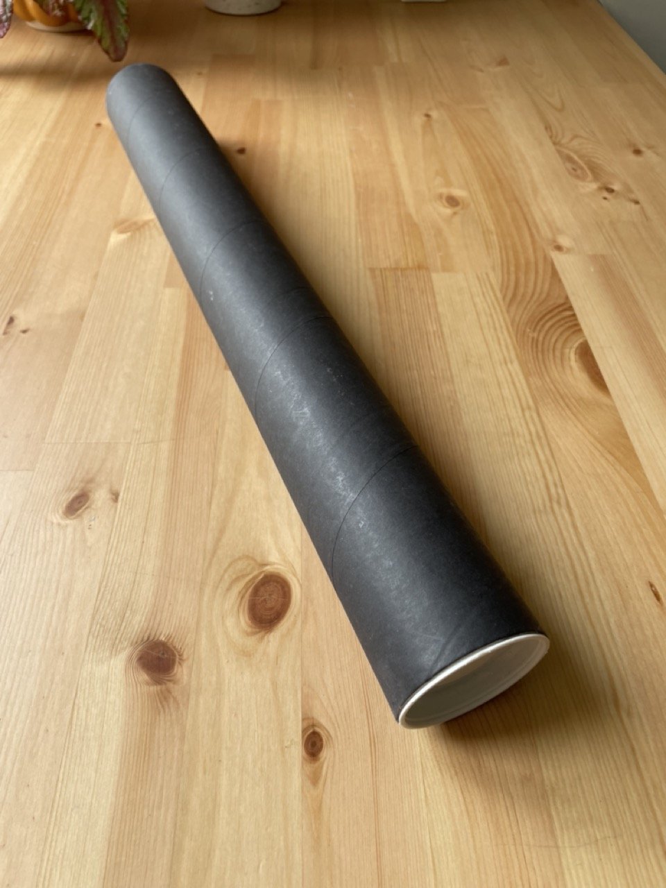 IMG_4602 - Grande.jpeg