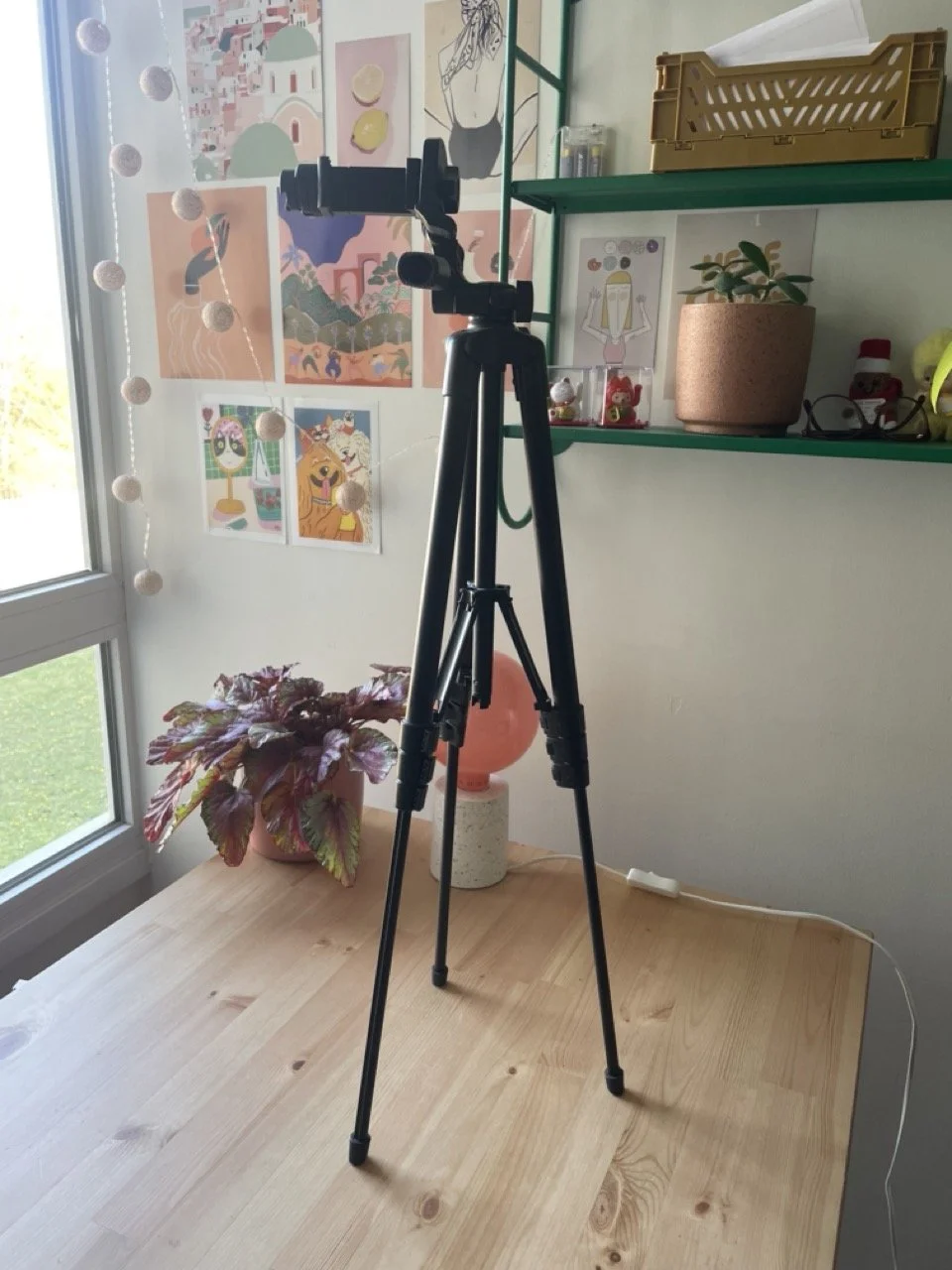 IMG_4289 - Grande.jpeg