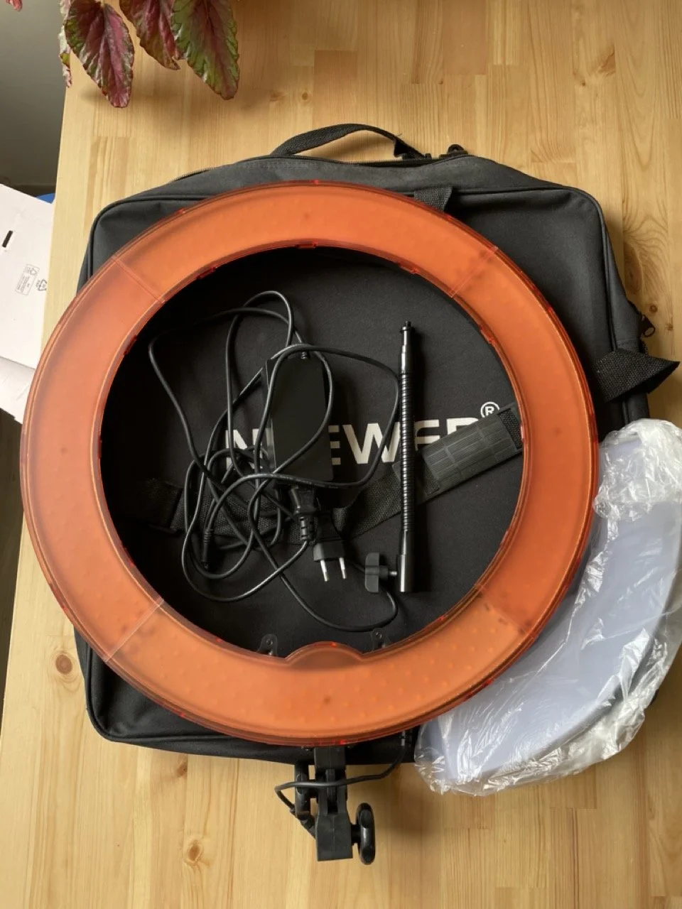 IMG_4663 - Grande.jpeg