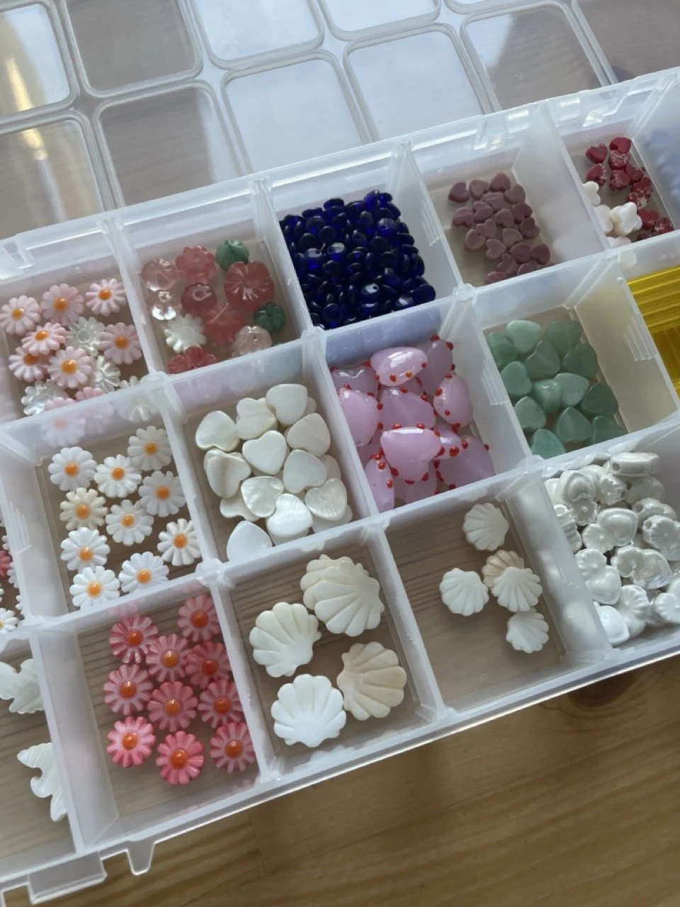 IMG_4341 - Grande.jpeg