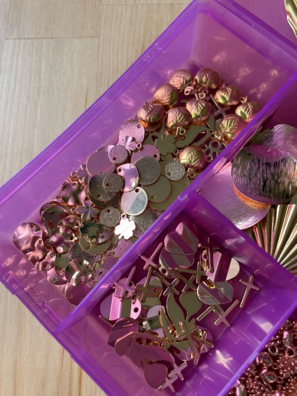 IMG_4613 - Grande.jpeg