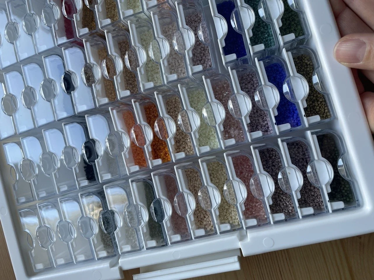 IMG_4279 - Grande.jpeg