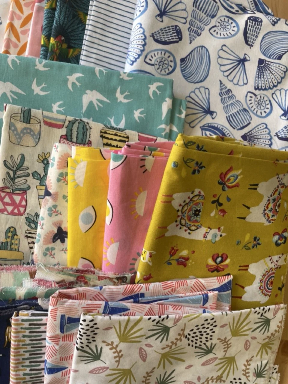 IMG_4694 - Grande.jpeg