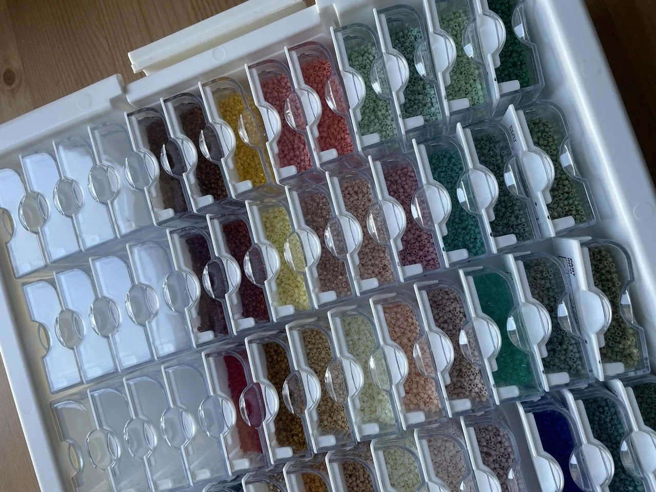 IMG_4281 - Grande.jpeg