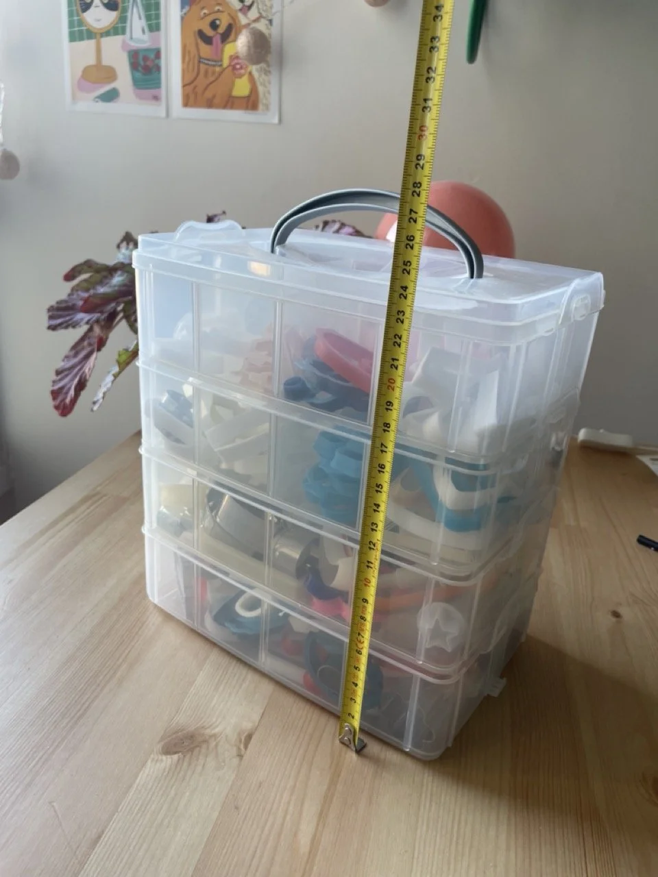 IMG_4422 - Grande.jpeg