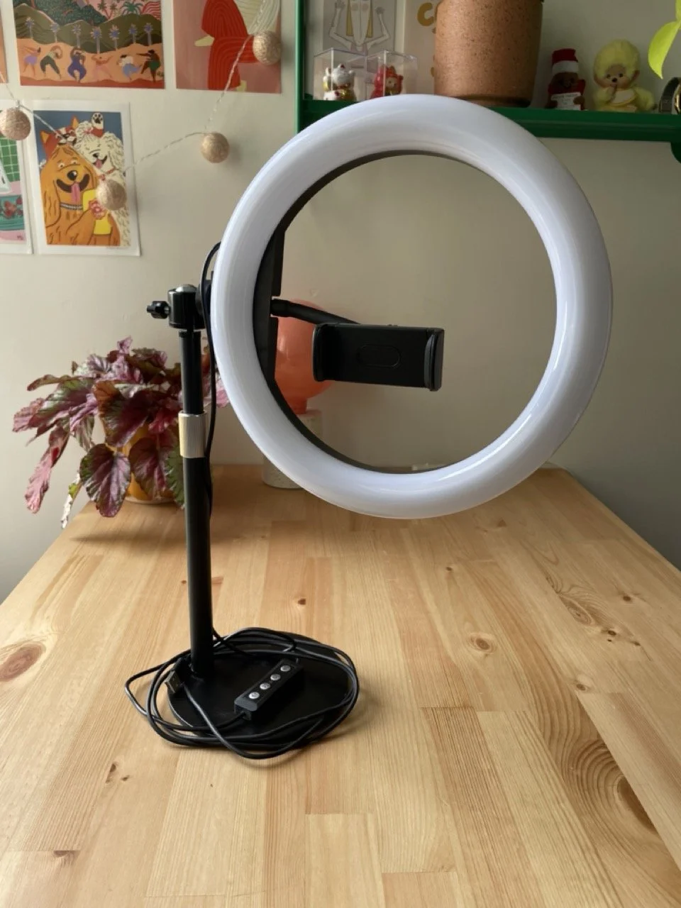 IMG_4578 - Grande.jpeg